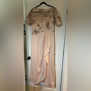 COPY - Adrianna Papell formal dress, size 14